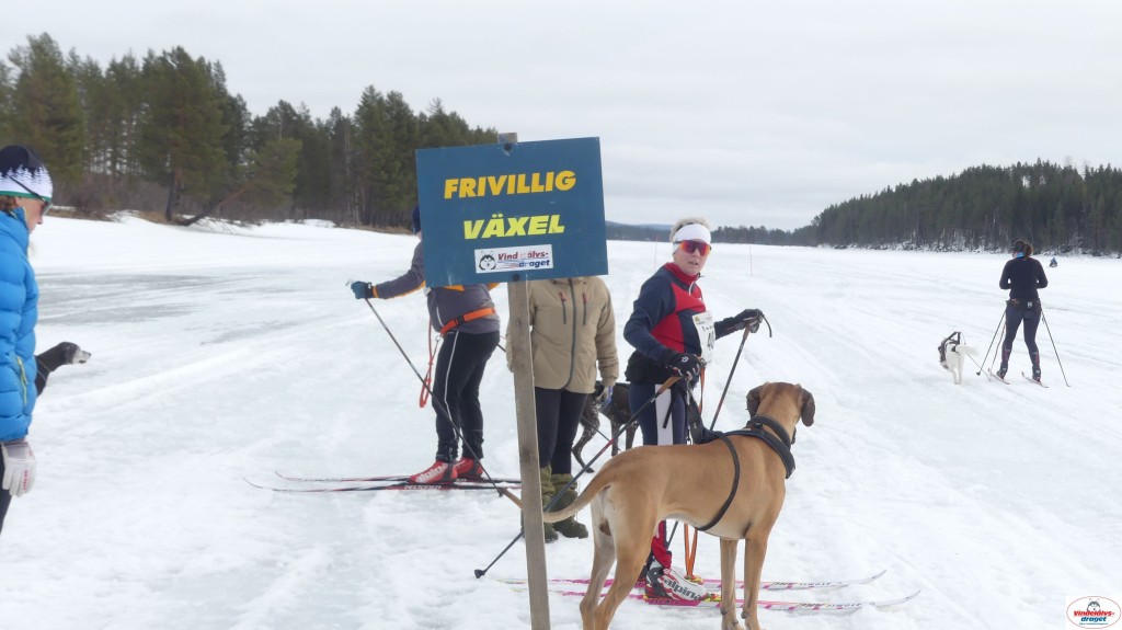 P1100694_resultat.jpg