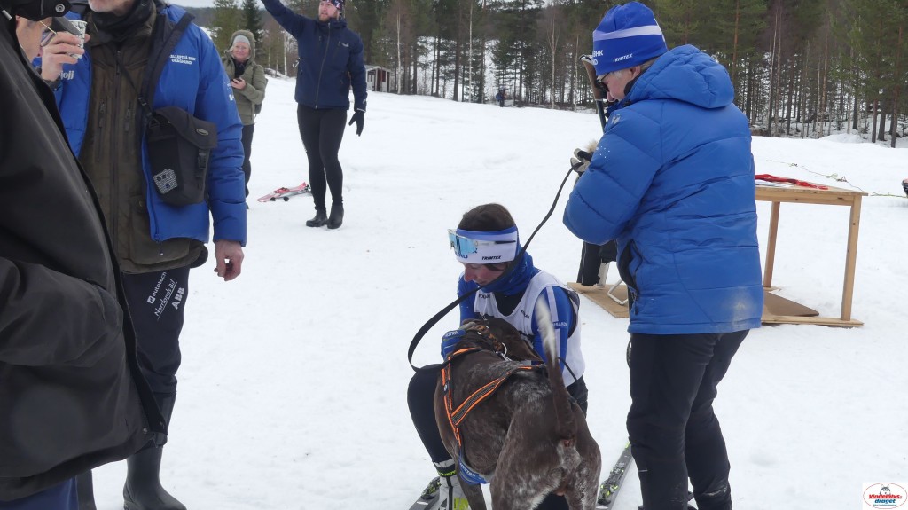 P1100704_resultat.jpg