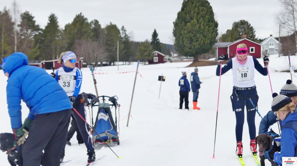 P1100750_resultat.jpg