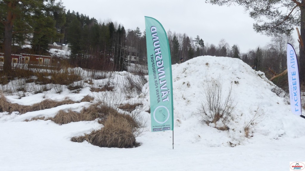 P1100763_resultat.jpg