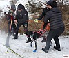 P1100787_resultat.jpg P1100787_resultat.jpg