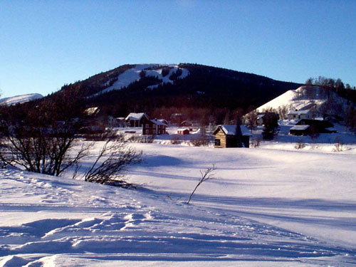 P002838.jpg
