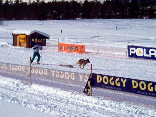 P002898.jpg