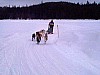 P001085.jpg