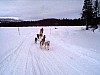 P001086.jpg