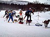 P002848.jpg