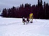 P002880.jpg