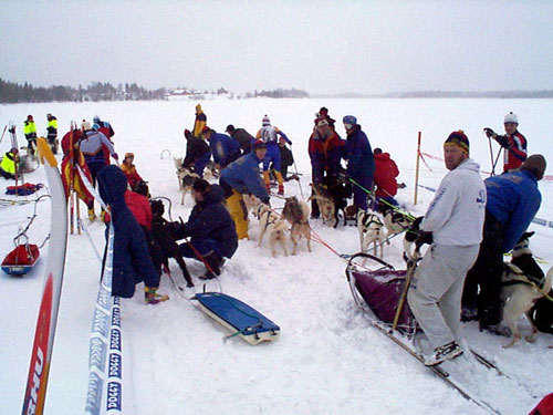 P001164.jpg