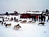 P002910.jpg