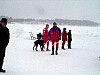 P002914.jpg