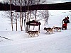 P002940.jpg