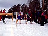 P002959.jpg
