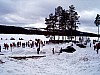 P002960.jpg