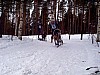 P002964.jpg