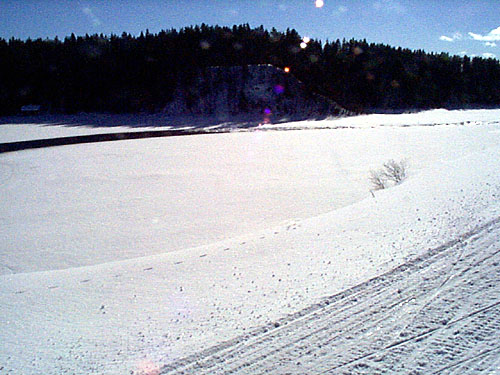 P001211.jpg