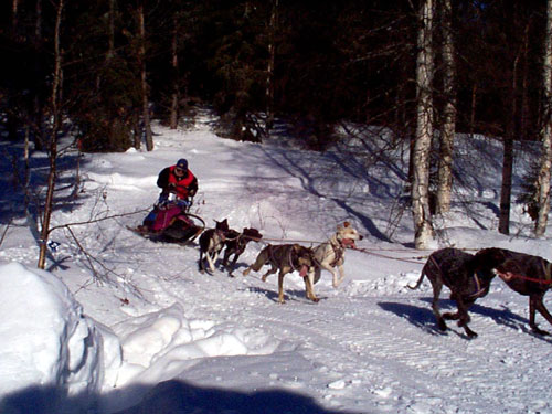 P003001.jpg