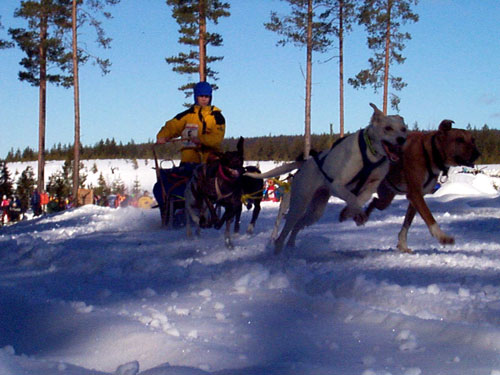 P003015.jpg