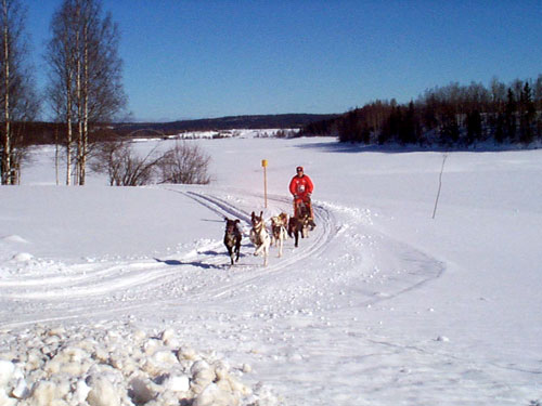 P003019.jpg