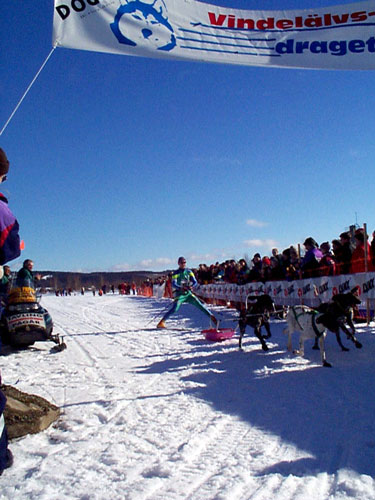P003027.jpg