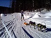 P001202.jpg
