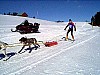 P001214.jpg