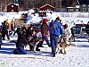 P002988.jpg