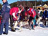 P002990.jpg