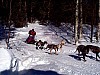 P003001.jpg