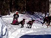 P003002.jpg