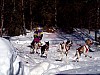 P003003.jpg