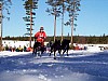P003012.jpg